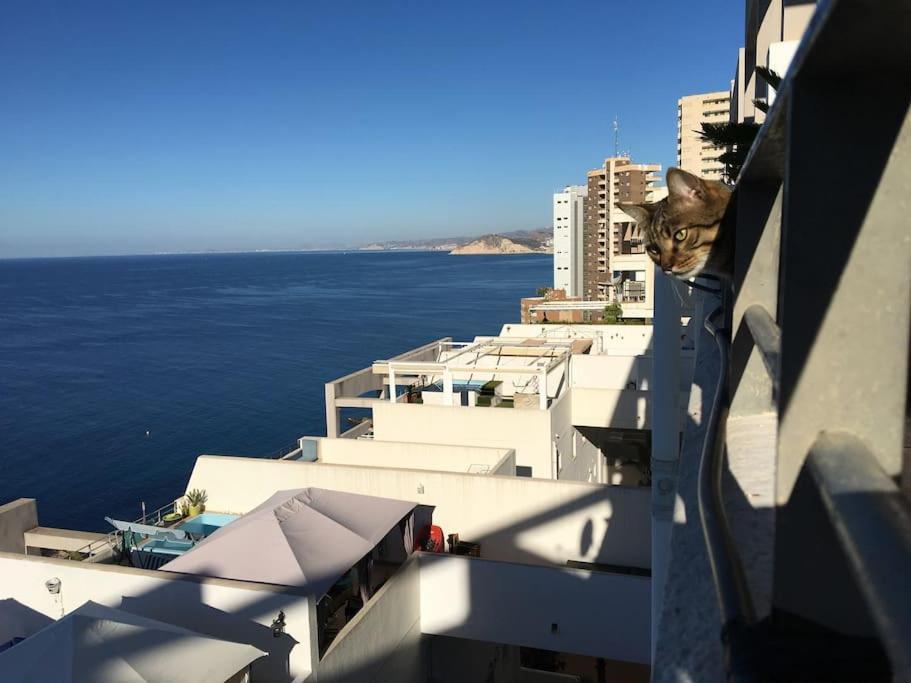 Piso En La Primera Linea Del Mar Con 2 Dormitorios Benidorm Exterior photo